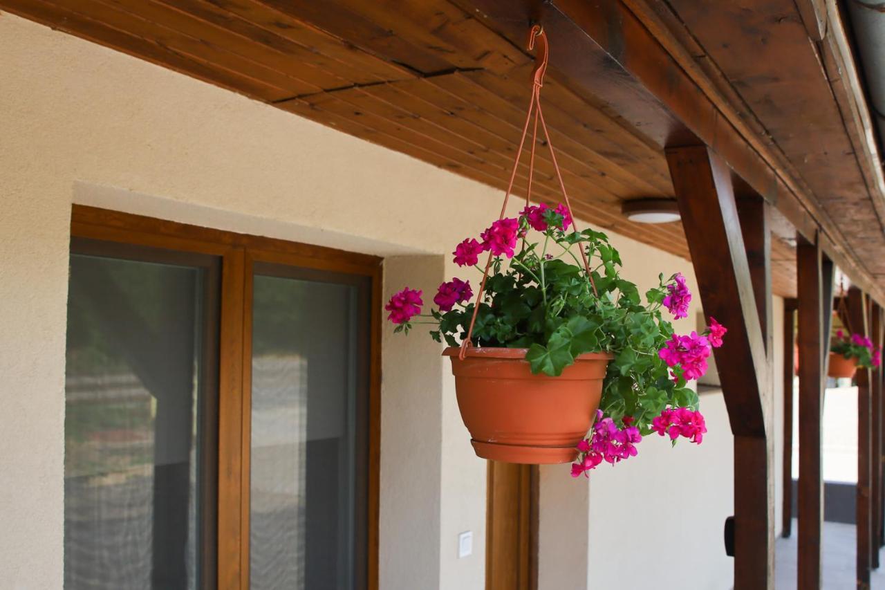 Bed and Breakfast Tulip Garden Panzió Kékcse Exterior foto